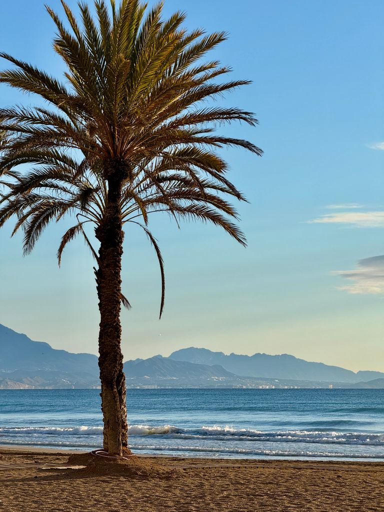 Waar kan je beginnen costa blanca